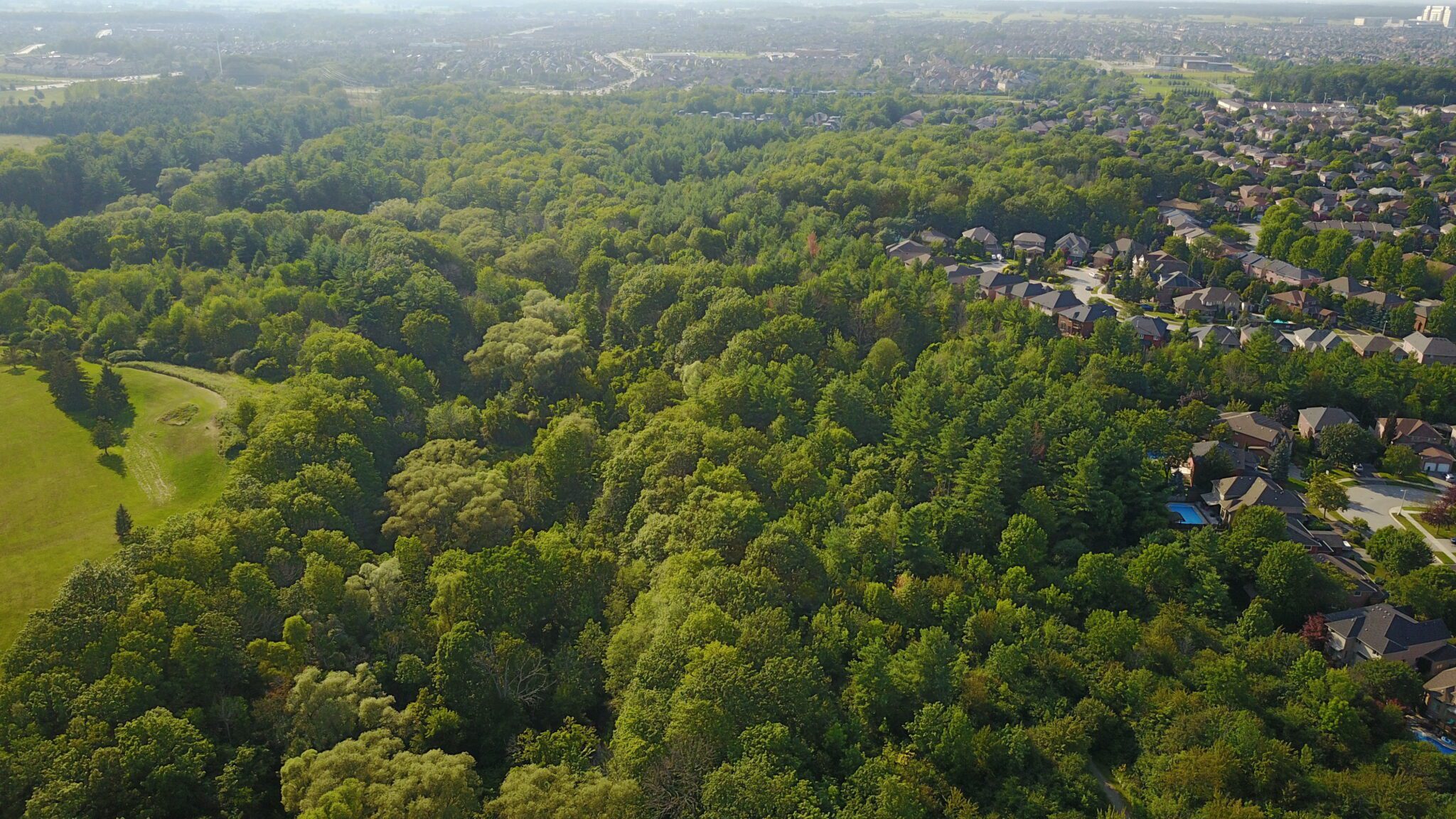 aerial shot of a suburb encroaching on a forested area