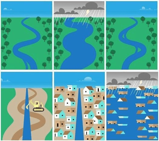 Six frame illustration of how natural landscapes help mitigate flooding