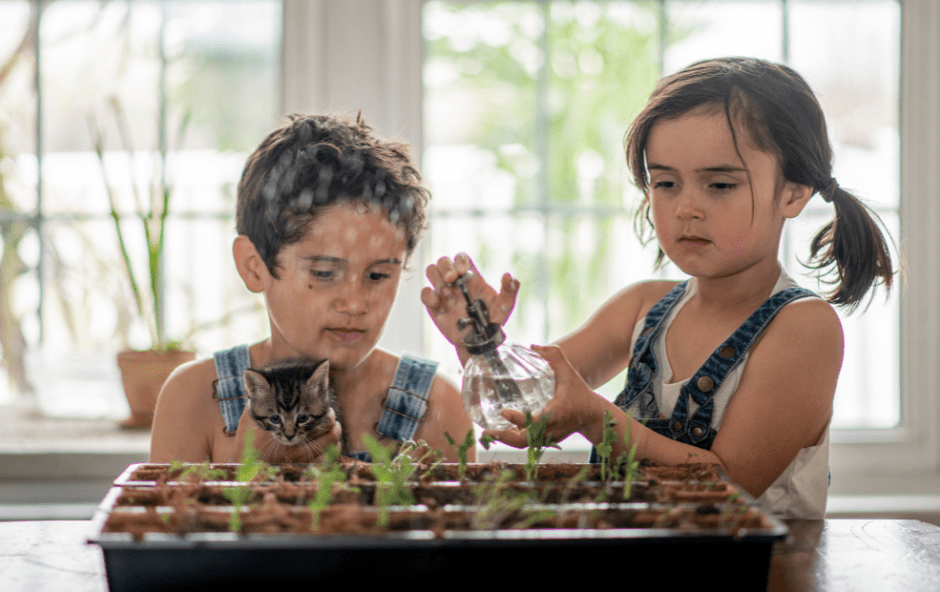 Indoor gardening