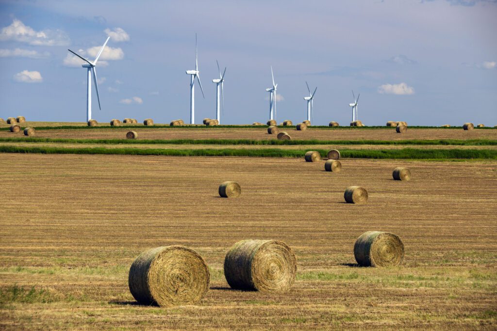 Wind turbine farm Alberta