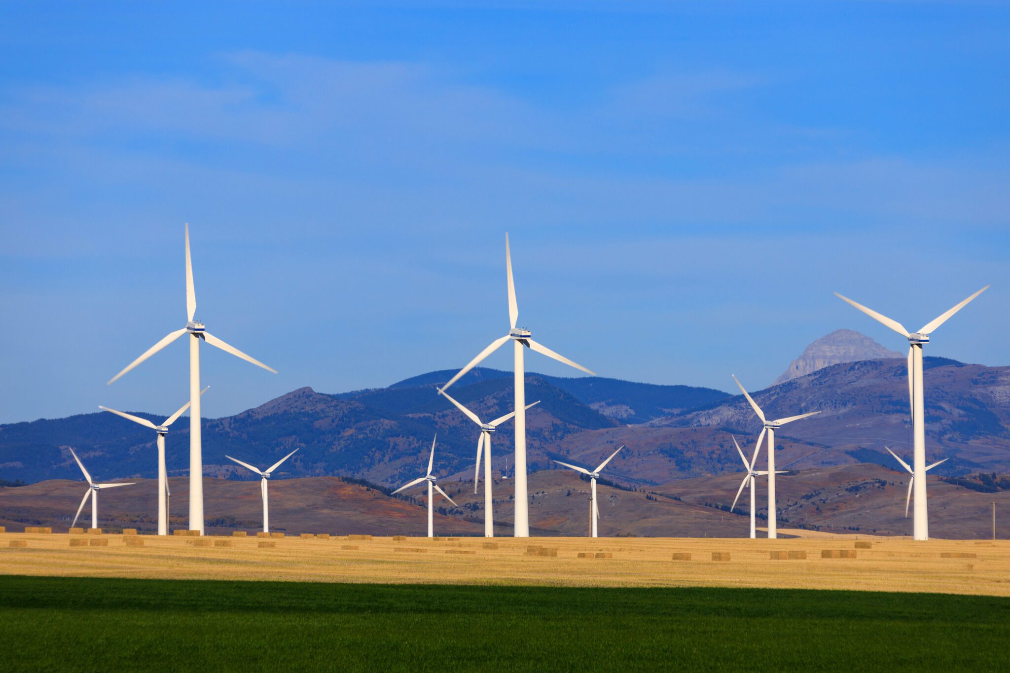 Wind farm Alberta