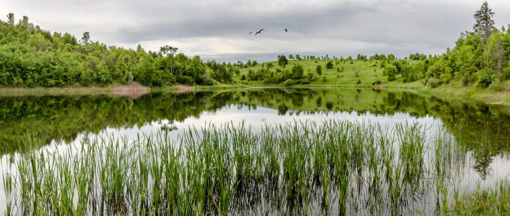 Federal Government Holds the Keys to an Unprecedented Public Lands Legacy
