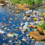 Plastic bags, water bottles, and other plastic items discarded in a pond.