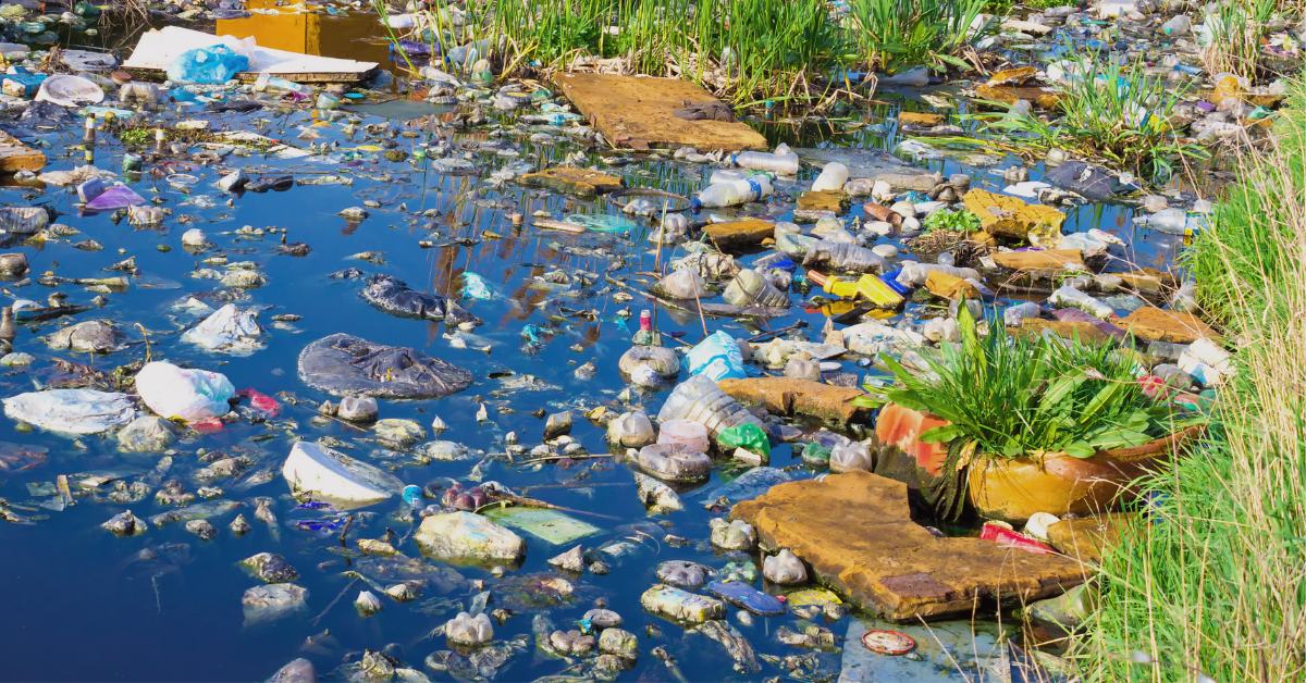 Plastic bags, water bottles, and other plastic items discarded in a pond.