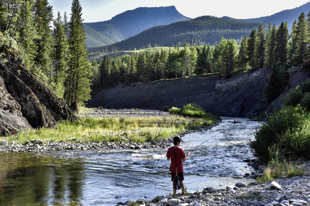 Alberta Stop Coal Mines