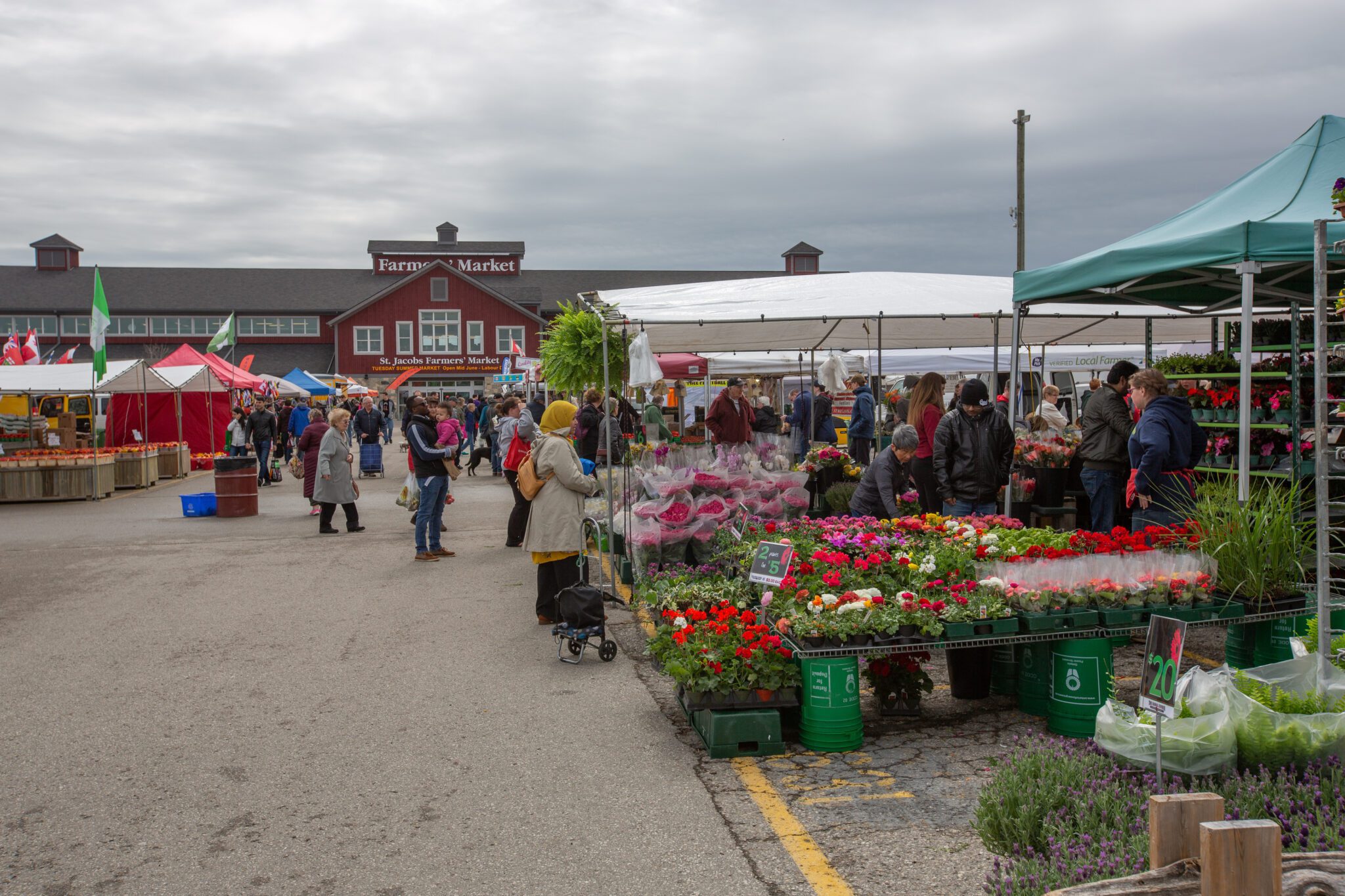 Outside at the St. Jacobs Farmers Market. Flower and fruit and vegetable stalls with people milling around.