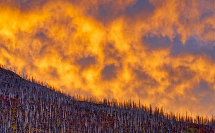 Wildfires