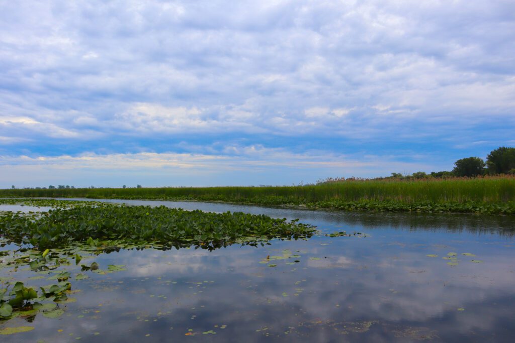 Ontario’s New Conservation Agency Must Prioritize Environment Over Sprawl