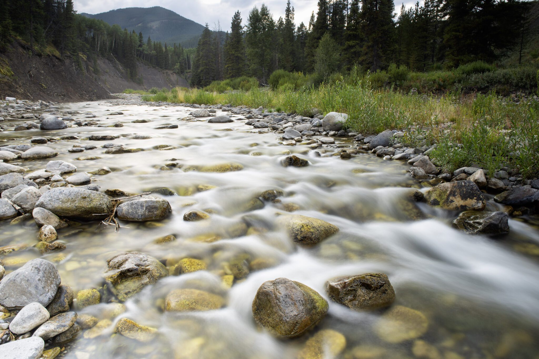 Livingstone River - Range -9586