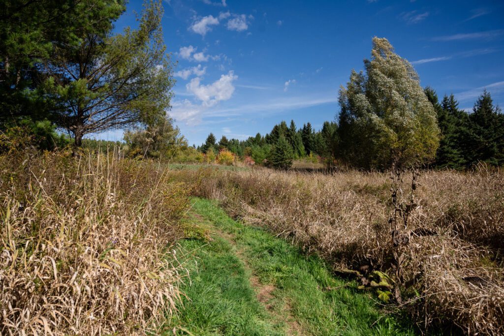 Ontario wants to build Highway 413 without completing a proper environmental review