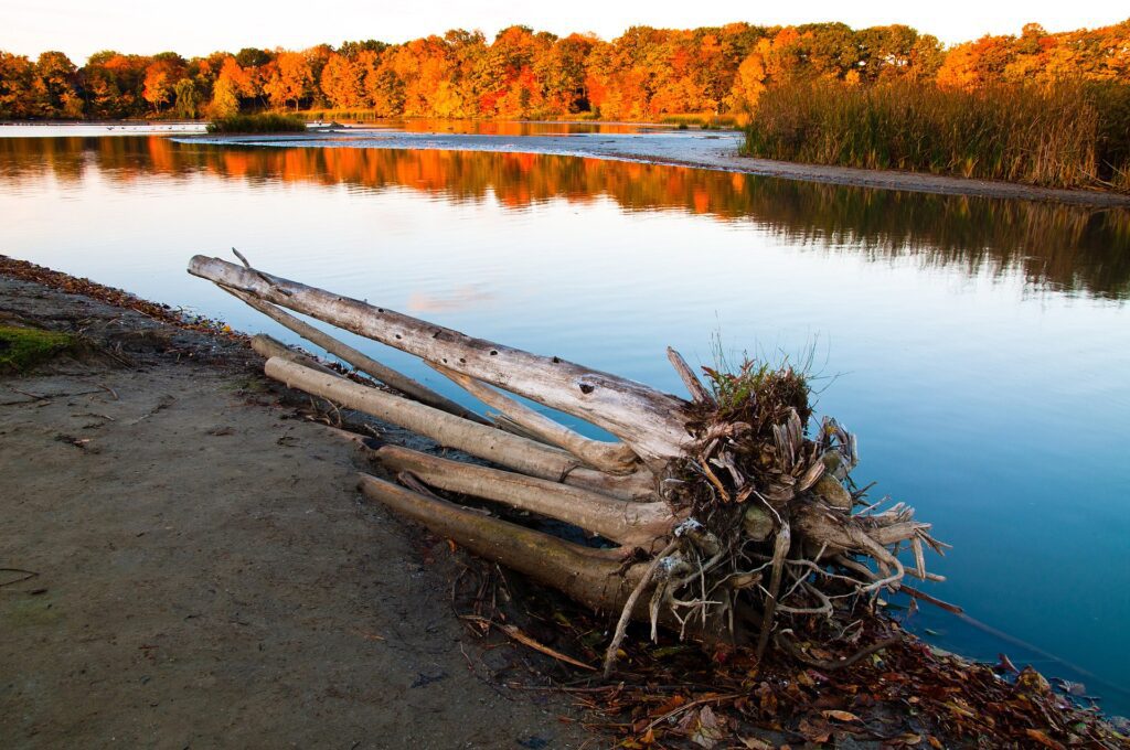 Guest Blog: A Once-in-a-Lifetime GTA National Park Opportunity