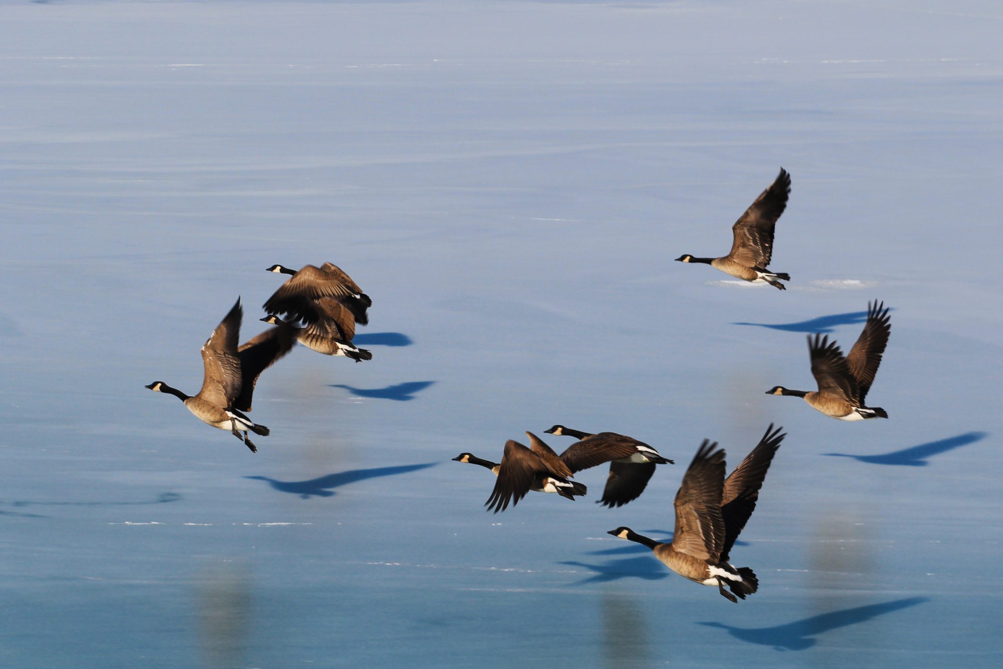 2015 Report on Safety Issues with Jets