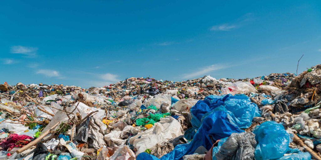 Plastic bans work – and we’re sharing the receipts this Plastic Free July